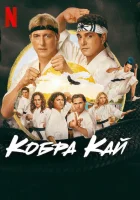 Кобра Кай смотреть онлайн сериал 1-6 сезон